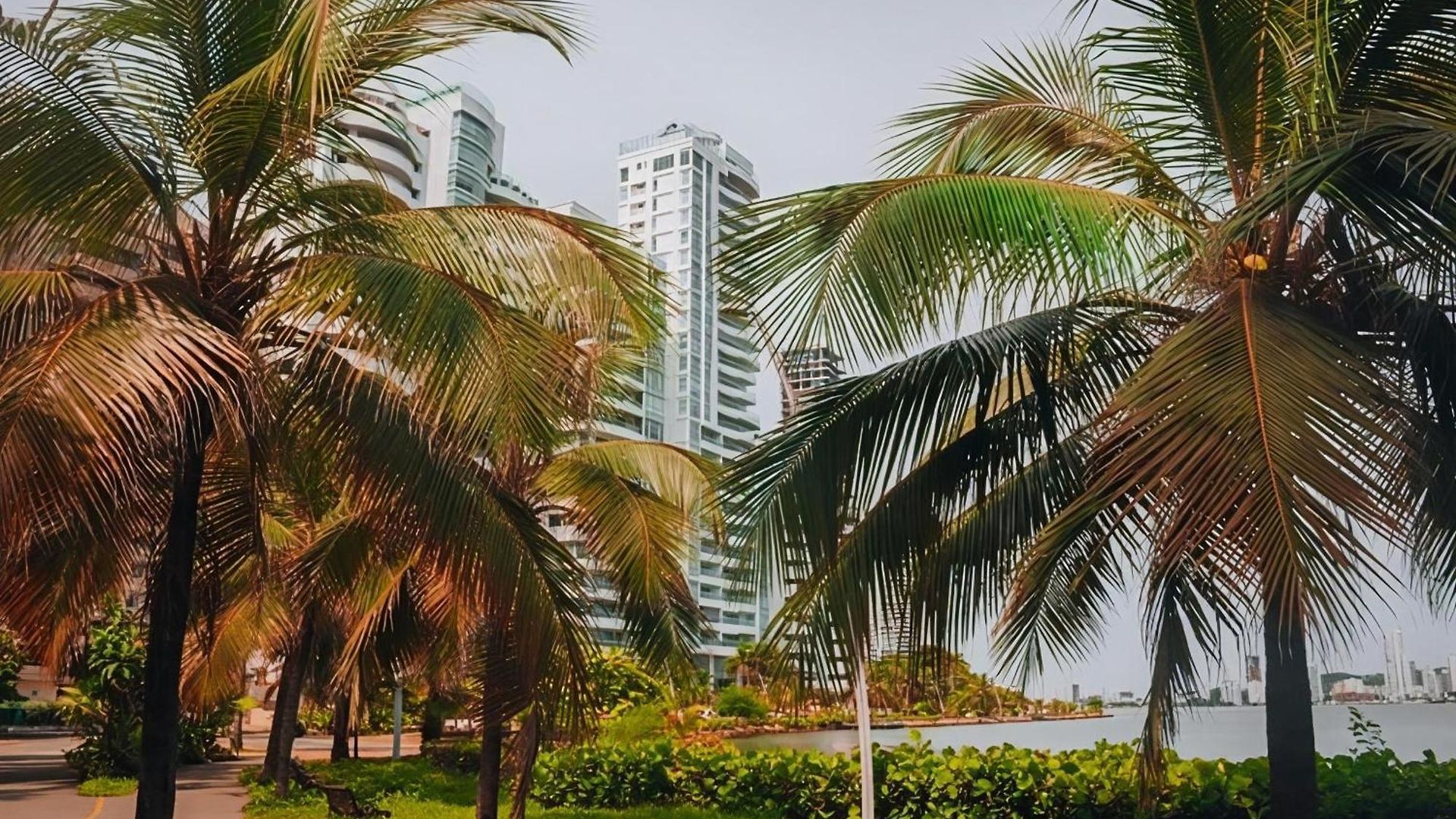 Hotel 6-36 Cartagena